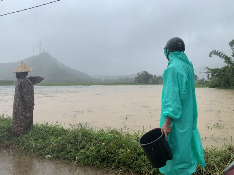 Đà Nẵng: Mưa lớn gây ngập hàng trăm héc ta lúa, rau màu (02/04/2022)